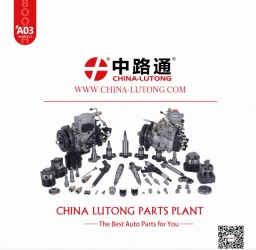 Common Rail Diesel Parts-china Lutong